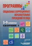 Обложка книги Программа Воронковой 5-9 кл.