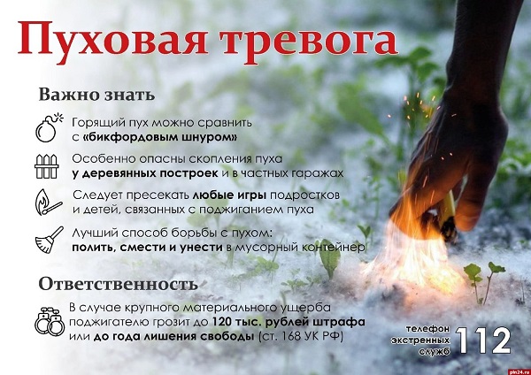 пуховая тревога